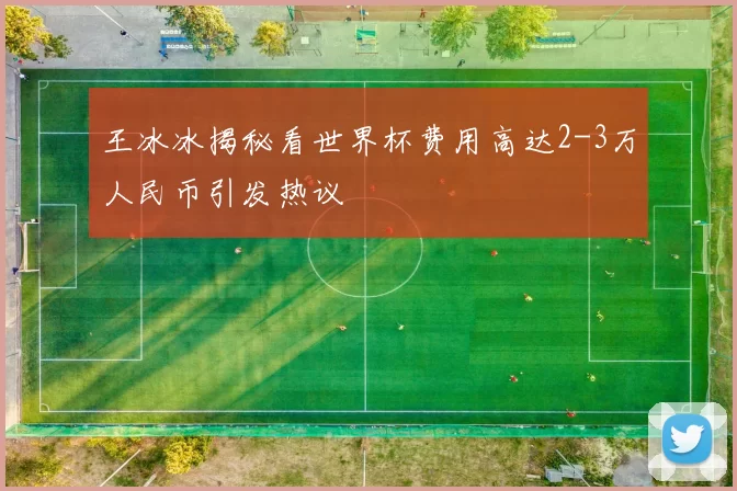 王冰冰揭秘看世界杯费用高达2-3万人民币引发热议