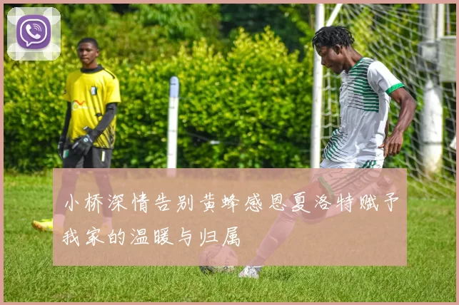 小桥深情告别黄蜂感恩夏洛特赋予我家的温暖与归属
