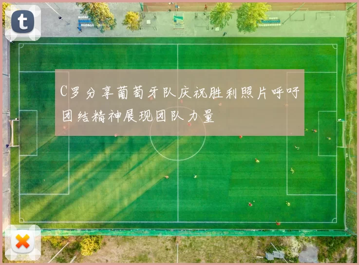 C罗分享葡萄牙队庆祝胜利照片呼吁团结精神展现团队力量